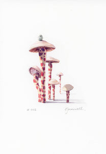 A5 Original Spot Illustration - #2 Mushrooms