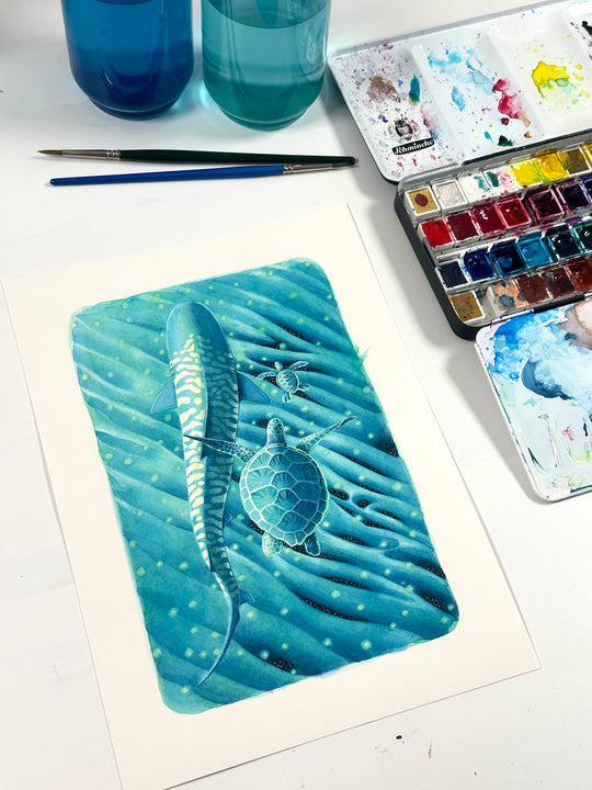 A4 Original Artwork - Turtle & Tiger Shark