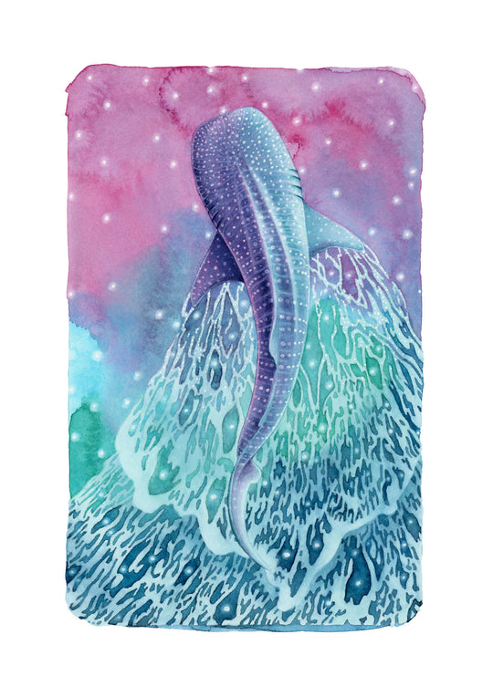 Pink Whaleshark Print