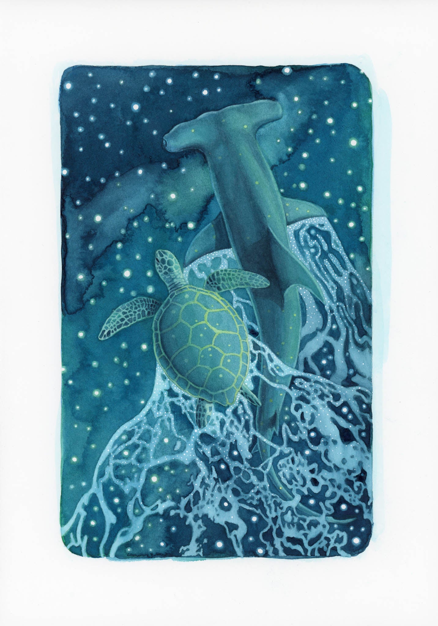 A4 Original Artwork - Turtle & Hammerhead Shark