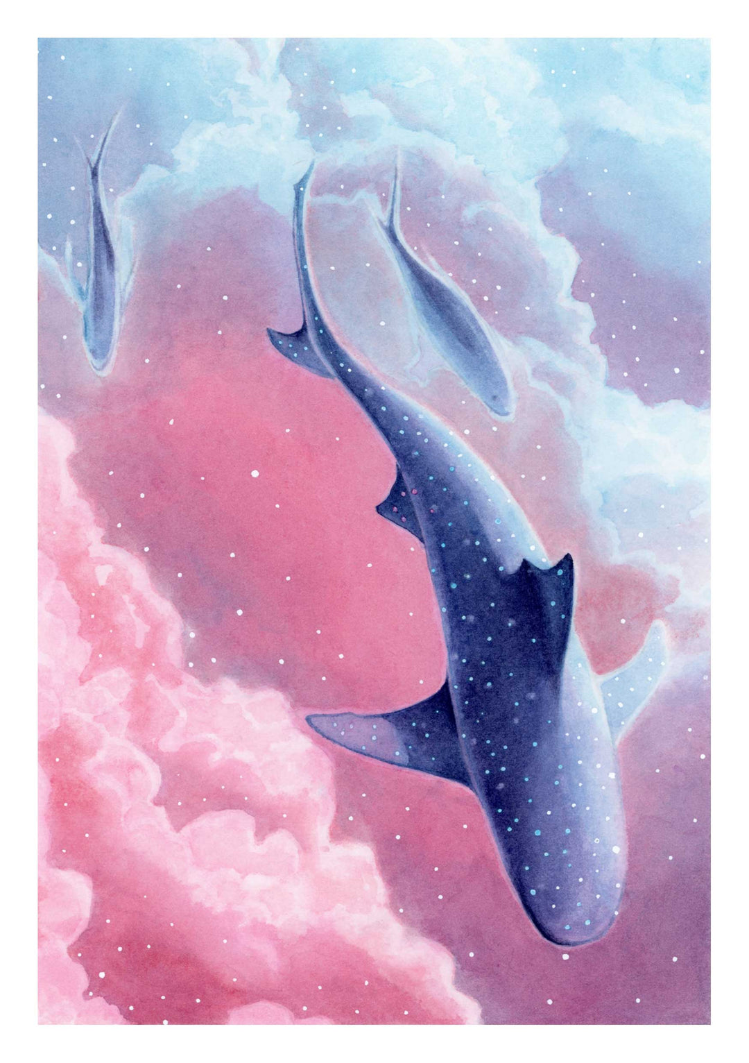 Aerial Shark Print