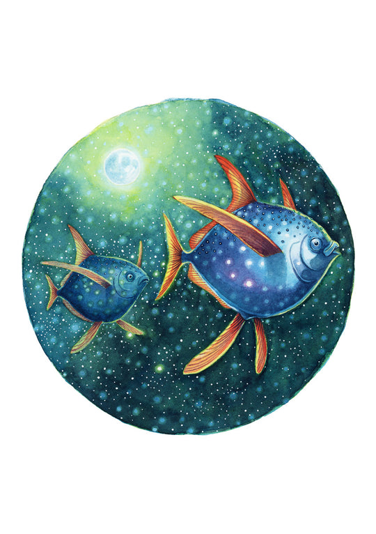 A5 Original Artwork - Flying Opah