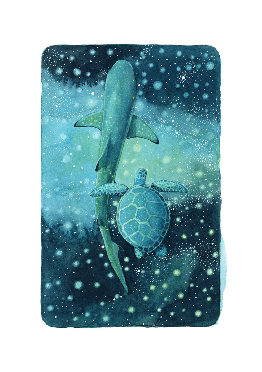 A5 Original Artwork - Shark & Turtle