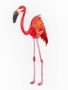 Framed Paper Sculpture - Frank The Flamingo