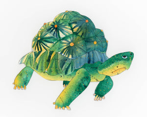 Framed Paper Sculpture - Tortilla The Tortoise