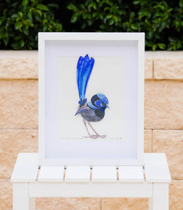 Framed Paper Sculpture - Bruce Wesley The Blue Wren