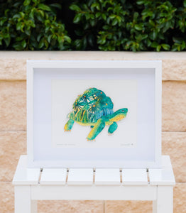 Framed Paper Sculpture - Tortilla The Tortoise
