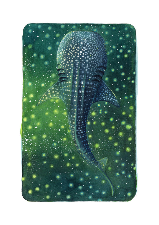 A5 Original Artwork - Whale Shark